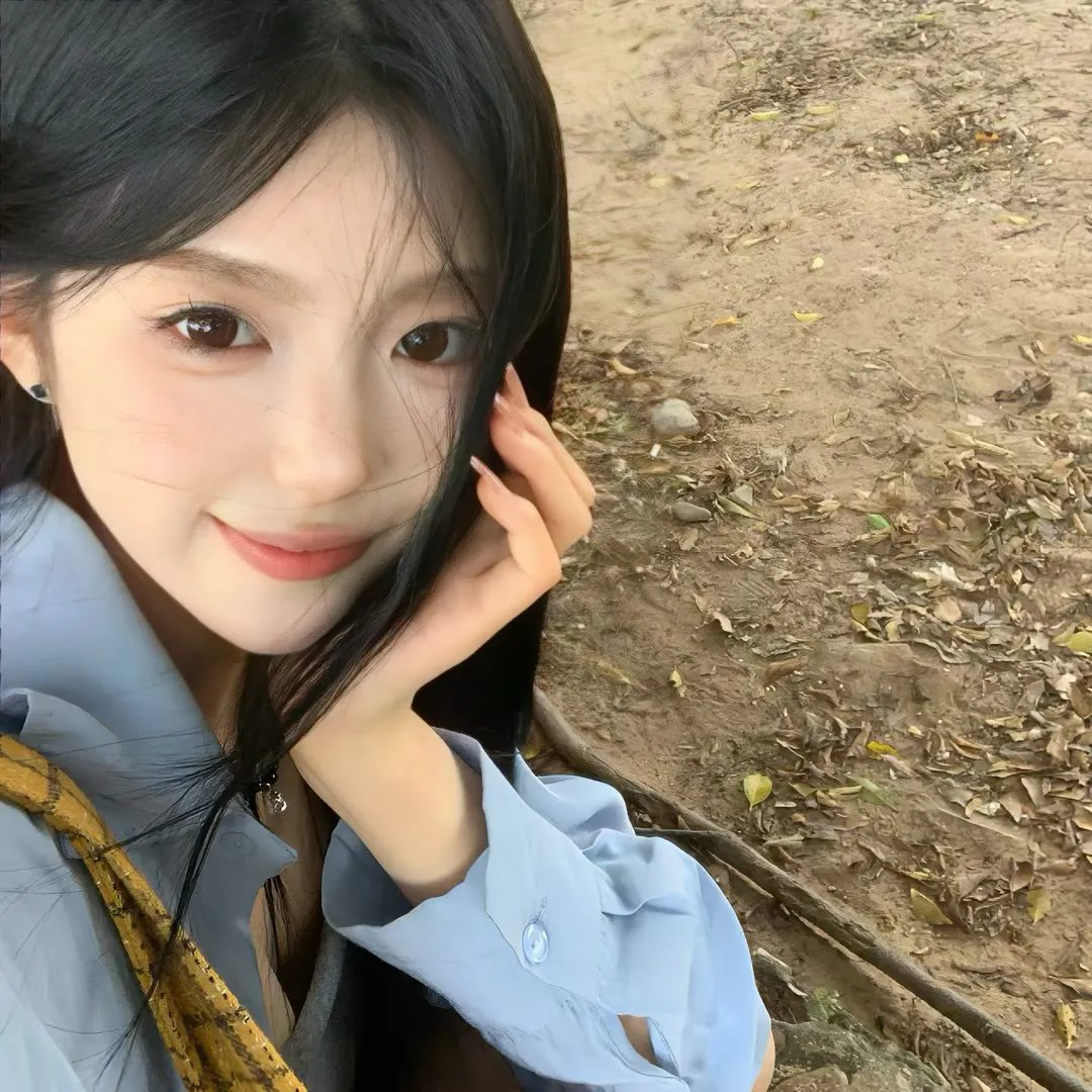 爱情森林